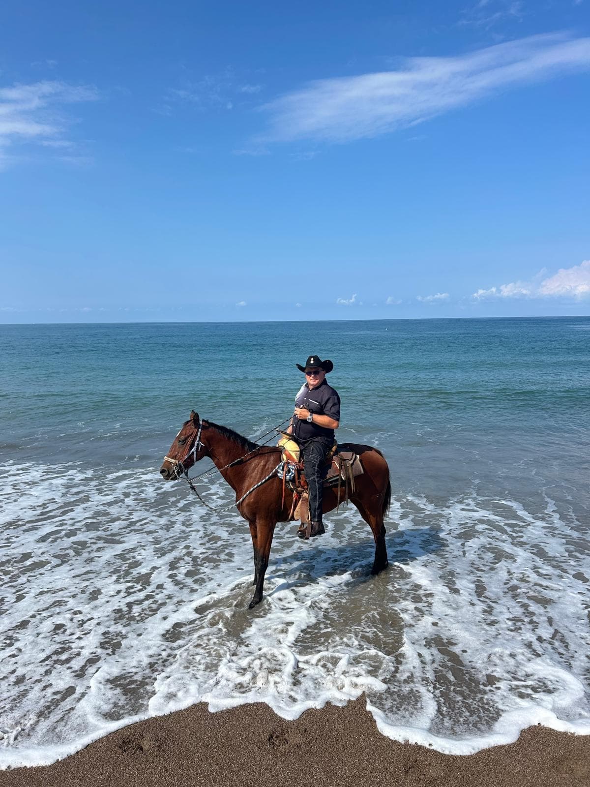 Chevaux dans les environs du parc, à Lo de Marcos