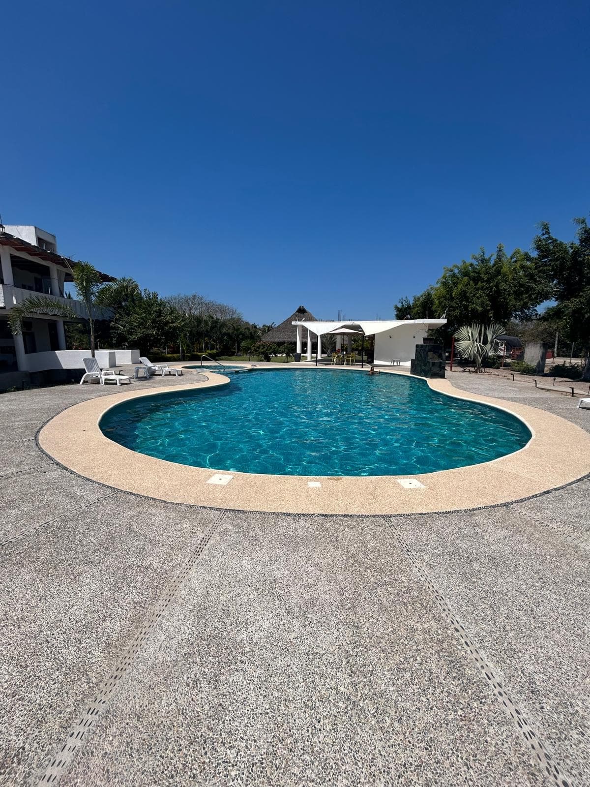 La piscine tropicale du parc, entourée de palmiers