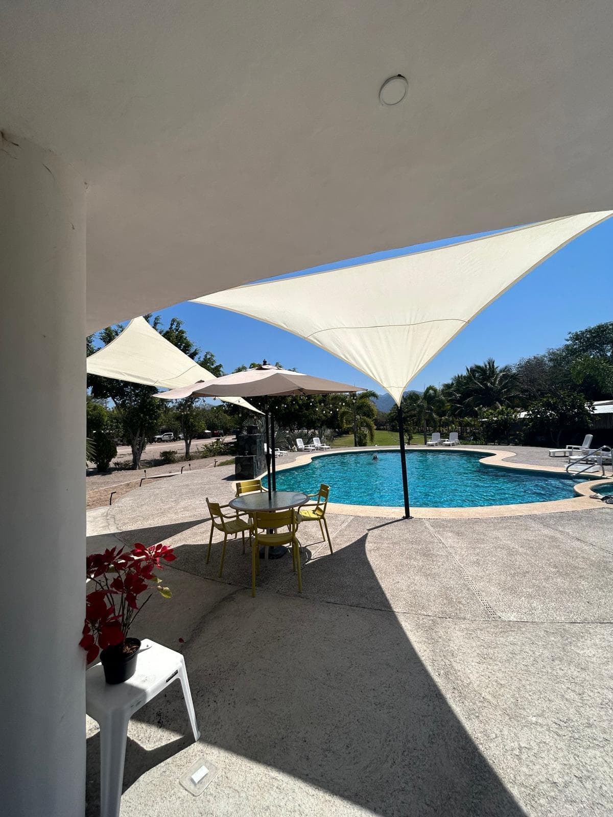 La terrasse et les transats au bord de la piscine